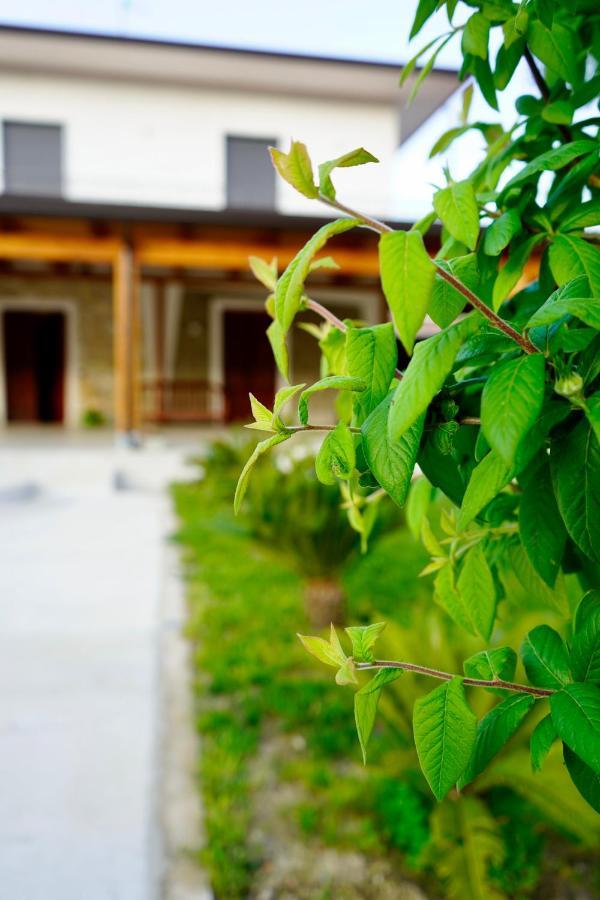 Atomos Bed and Breakfast Alvignano Εξωτερικό φωτογραφία
